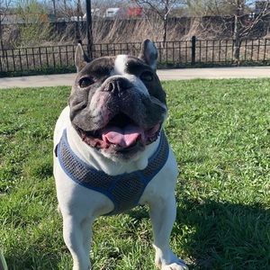 Meet your Posher, Estefany